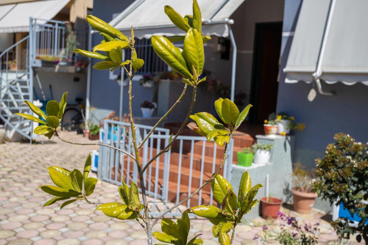 Vila Aulona Vlorë Εξωτερικό φωτογραφία